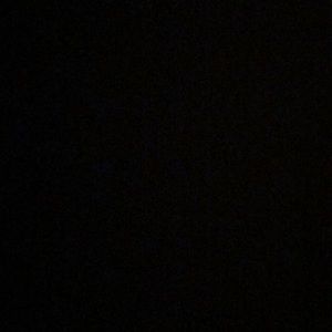 Meet your Posher, Jamarion